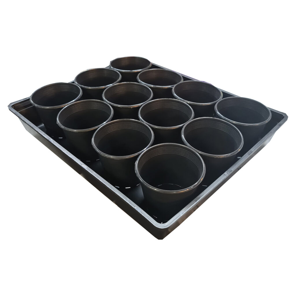 Cup Propogation Kit Isabellas Hydroponic Nurseryoakabella Pty Ltd