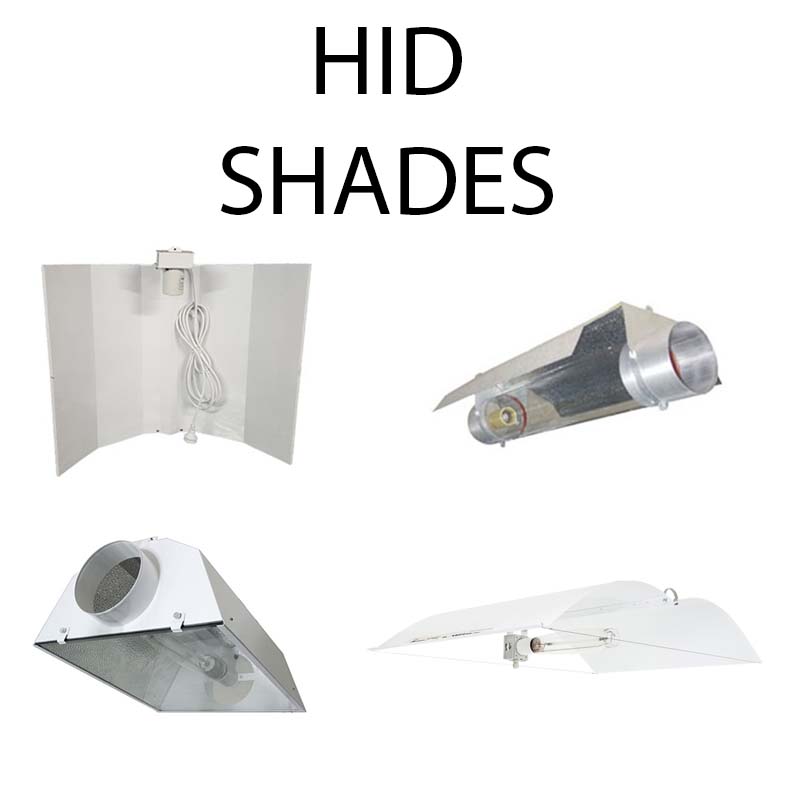 Light Shades Isabellas Hydroponic Nursery & Garden CentreOakabella