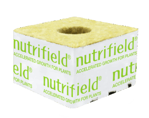 Stonewool Cube (75mm - With Hole)