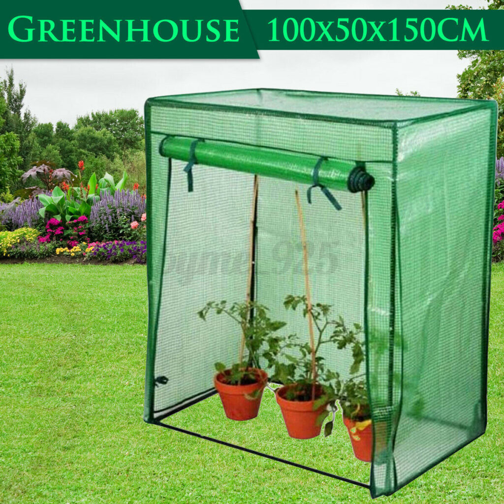 Mini Greenhouse For Plants