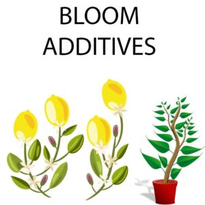 Bloom Additives