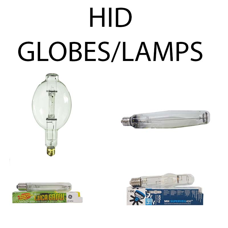 Light Globes Isabellas Hydroponic Nursery & Garden CentreOakabella