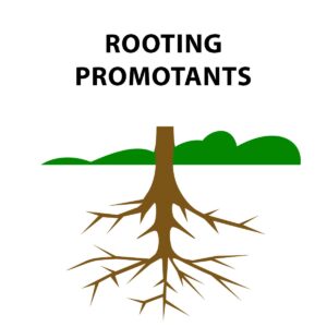 Root Promotants/Gel