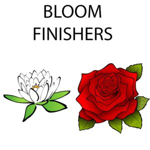Bloom Finisher