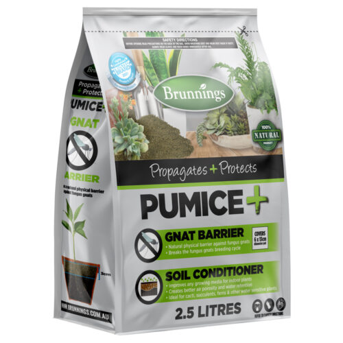 Pumice